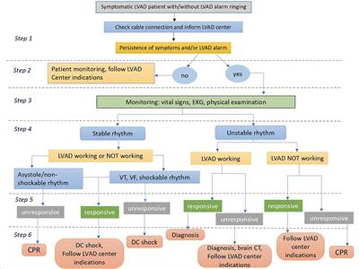 A multidisciplinary approach for the emergency care of patients with left ventricular assist devices: A practical guide